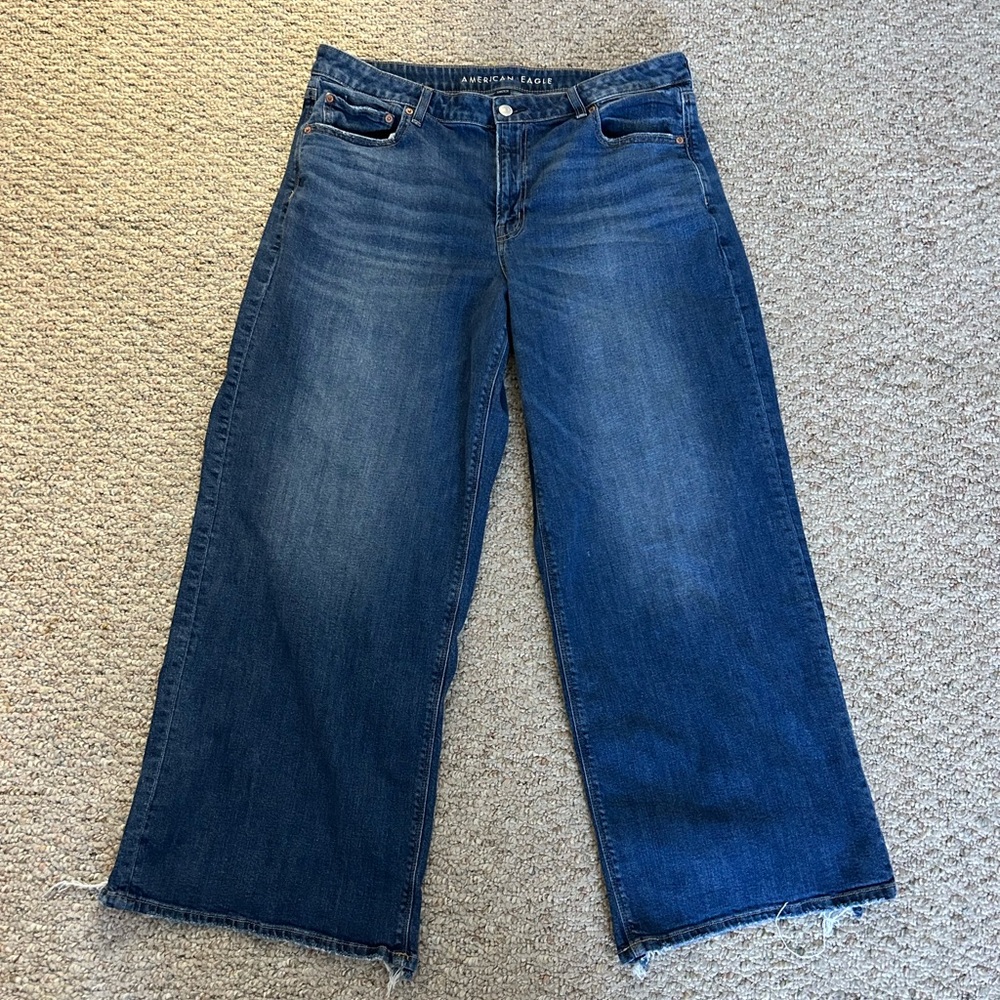 American Eagle Outfitters low rise baggy wide leg jean